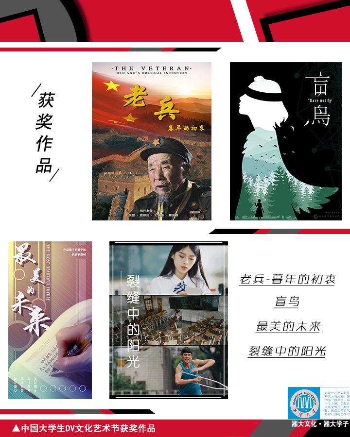 7. DV文化節品牌7.jpg